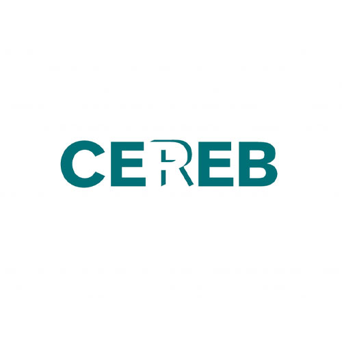 Cereb in i Office365 logga
